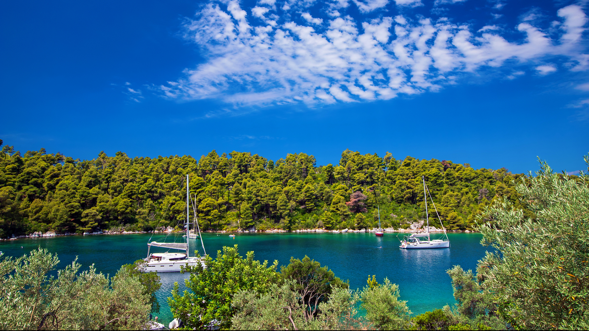 ISTIOPLOIA_SPORADES_3